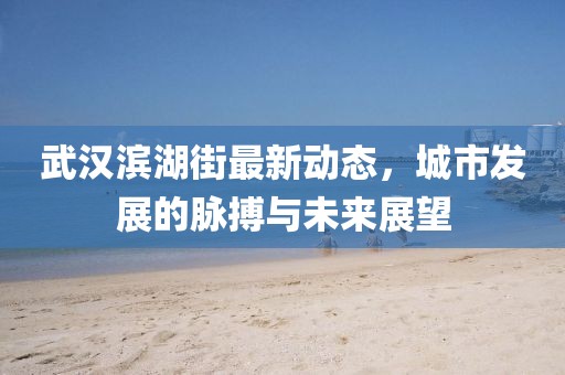 武漢濱湖街最新動態,城市發展的脈搏與未來展望