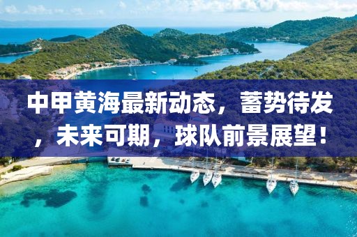 中甲黃海最新動態,蓄勢待發,未來可期,球隊前景展望!