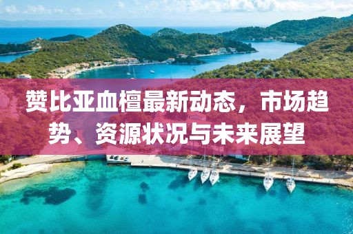 贊比亞血檀最新動態,市場趨勢、資源狀況與未來展望