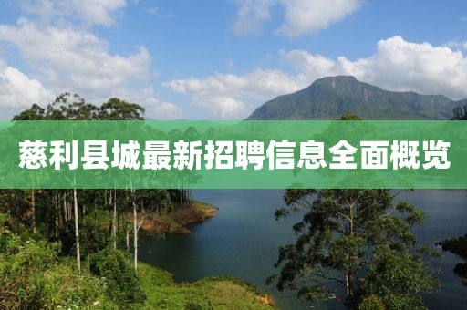 慈利縣城最新招聘信息全面概覽