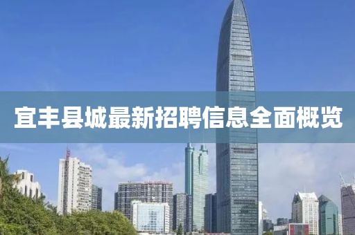 宜豐縣城最新招聘信息全面概覽