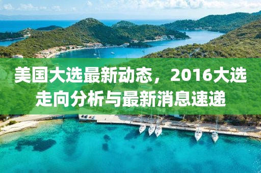美國大選最新動態，2016大選走向分析與最新消息速遞