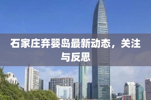 石家莊棄嬰島最新動(dòng)態(tài),關(guān)注與反思
