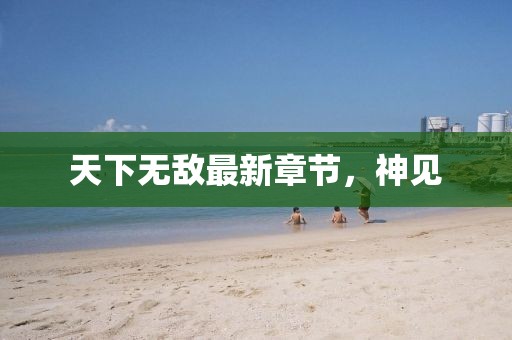 天下無敵最新章節,神見