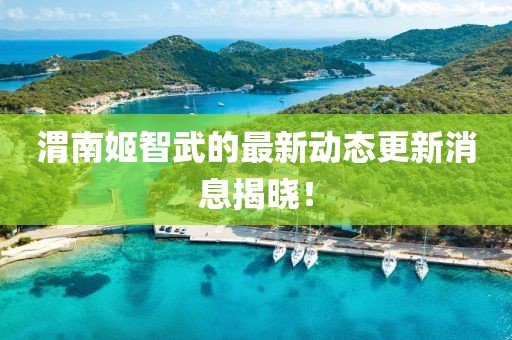渭南姬智武的最新動(dòng)態(tài)更新消息揭曉!
