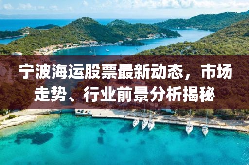 寧波海運股票最新動態,市場走勢、行業前景分析揭秘
