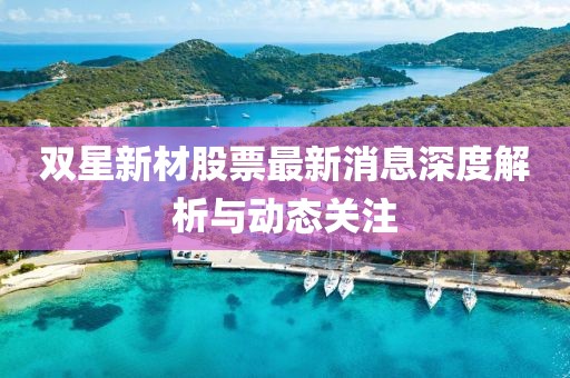 雙星新材股票最新消息深度解析與動態關注