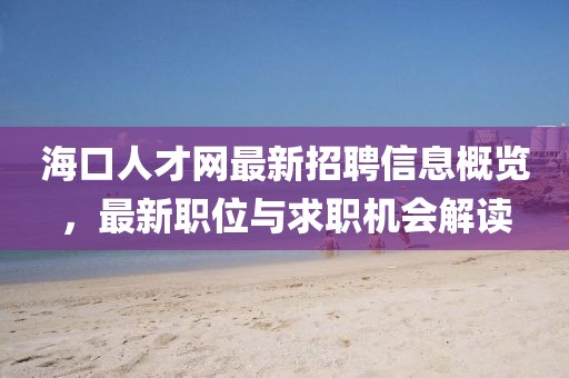 海口人才網最新招聘信息概覽,最新職位與求職機會解讀