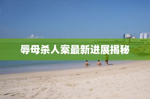 辱母殺人案最新進展揭秘