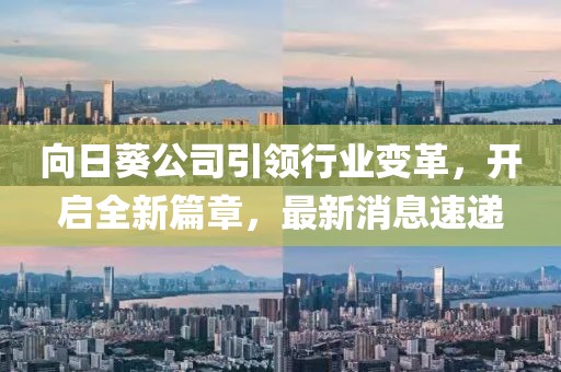 向日葵公司引領(lǐng)行業(yè)變革,開啟全新篇章,最新消息速遞