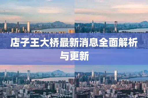 店子王大橋最新消息全面解析與更新