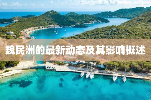魏民洲的最新動態及其影響概述
