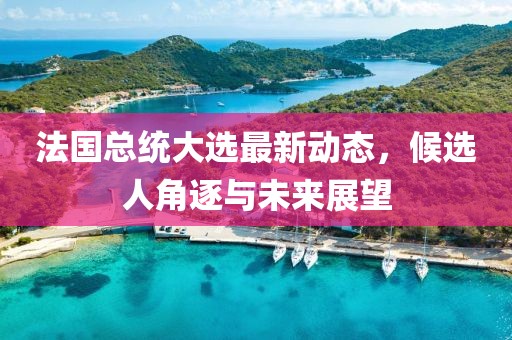 法國總統大選最新動態,候選人角逐與未來展望