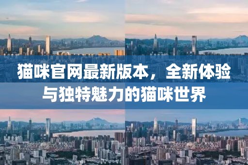 貓咪官網最新版本,全新體驗與獨特魅力的貓咪世界
