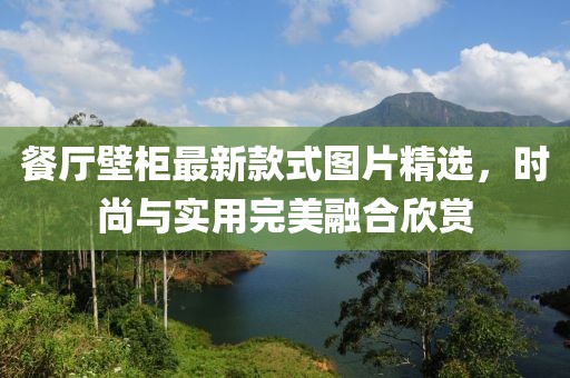 餐廳壁柜最新款式圖片精選,時(shí)尚與實(shí)用完美融合欣賞