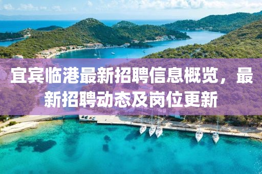 宜賓臨港最新招聘信息概覽,最新招聘動態(tài)及崗位更新