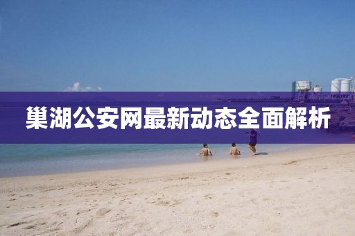 巢湖公安網最新動態全面解析