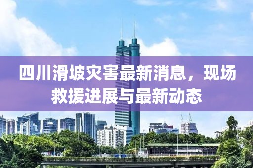 四川滑坡災(zāi)害最新消息,現(xiàn)場救援進(jìn)展與最新動態(tài)