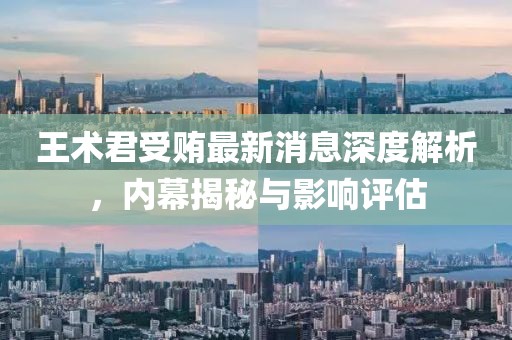 王術君受賄最新消息深度解析,內幕揭秘與影響評估
