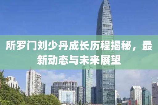 所羅門劉少丹成長歷程揭秘,最新動態與未來展望