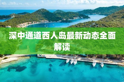 深中通道西人島最新動態全面解讀