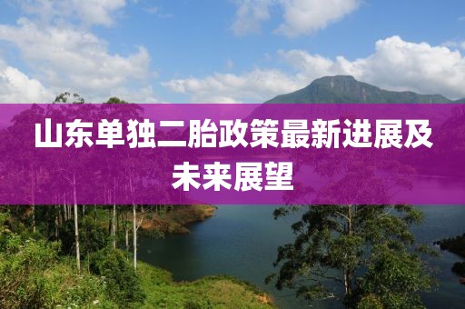 山東單獨二胎政策最新進展及未來展望
