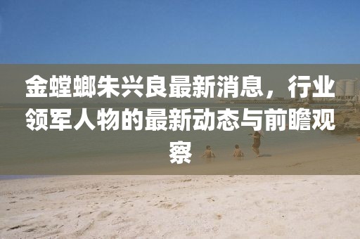 金螳螂朱興良最新消息,行業領軍人物的最新動態與前瞻觀察