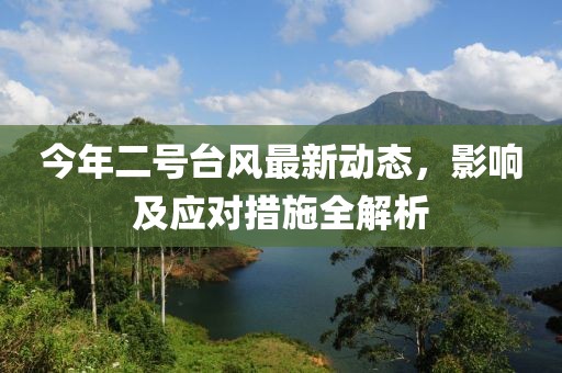 今年二號臺風最新動態,影響及應對措施全解析
