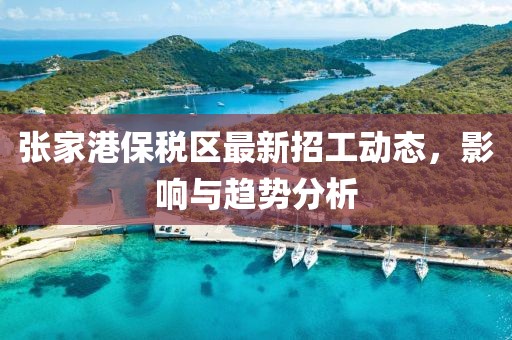 張家港保稅區最新招工動態,影響與趨勢分析