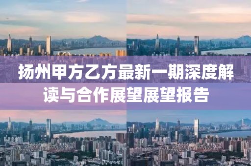 揚州甲方乙方最新一期深度解讀與合作展望展望報告