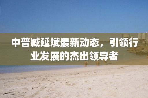中普臧延斌最新動態,引領行業發展的杰出領導者