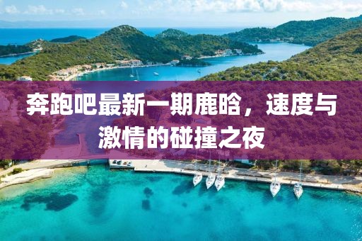奔跑吧最新一期鹿晗,速度與激情的碰撞之夜