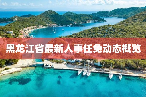 黑龍江省最新人事任免動態概覽
