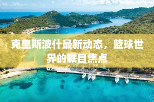 克里斯波什最新動態,籃球世界的矚目焦點