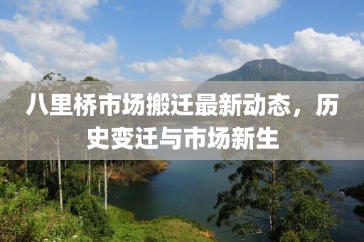 八里橋市場搬遷最新動態(tài),歷史變遷與市場新生