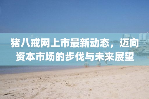 豬八戒網(wǎng)上市最新動態(tài),邁向資本市場的步伐與未來展望