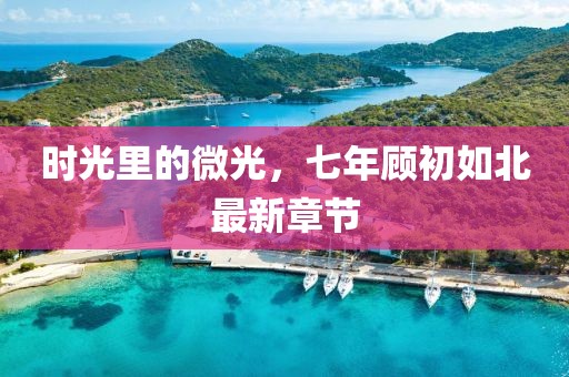時光里的微光,七年顧初如北最新章節