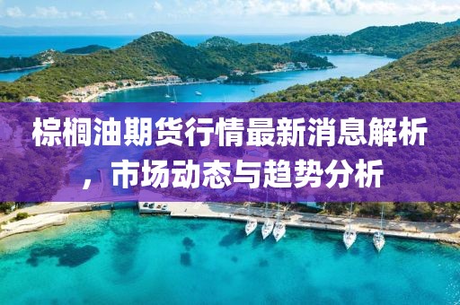 棕櫚油期貨行情最新消息解析,市場動態(tài)與趨勢分析