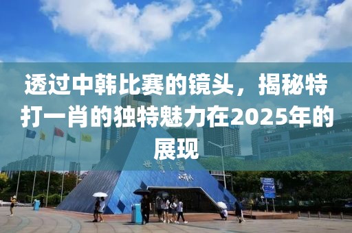 透過中韓比賽的鏡頭,揭秘特打一肖的獨特魅力在2025年的展現