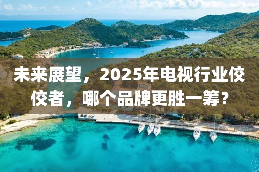 未來(lái)展望,2025年電視行業(yè)佼佼者,哪個(gè)品牌更勝一籌?