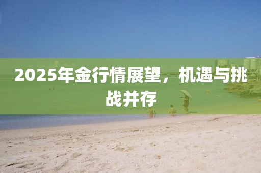 2025年金行情展望,機遇與挑戰并存