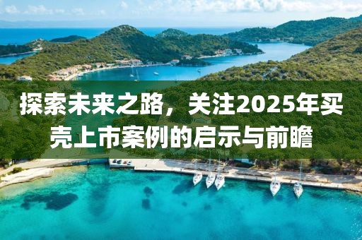 探索未來之路,關注2025年買殼上市案例的啟示與前瞻