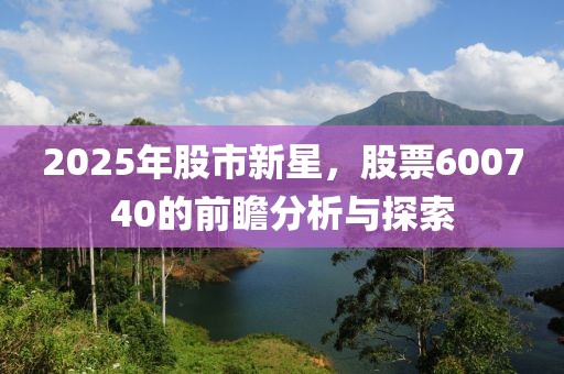 2025年股市新星,股票600740的前瞻分析與探索