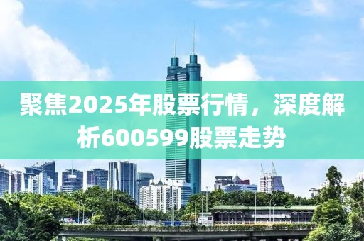 聚焦2025年股票行情,深度解析600599股票走勢