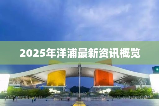 2025年洋浦最新資訊概覽