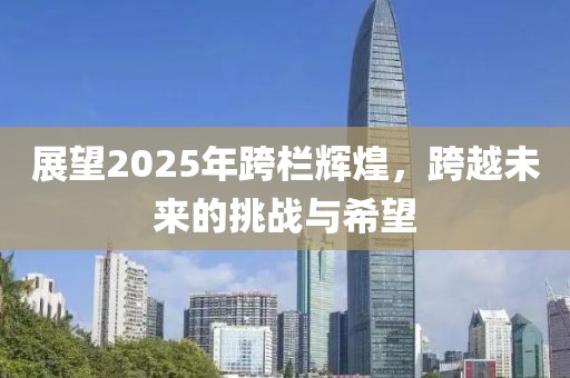 展望2025年跨欄輝煌,跨越未來的挑戰(zhàn)與希望
