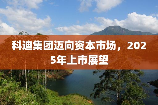 科迪集團(tuán)邁向資本市場(chǎng),2025年上市展望