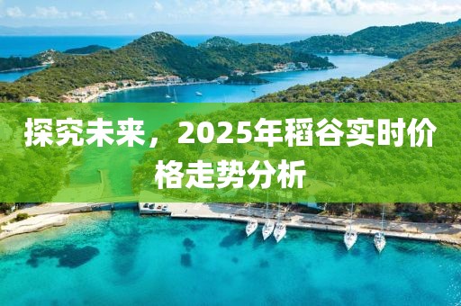 探究未來,2025年稻谷實時價格走勢分析