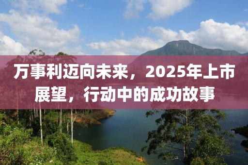 萬事利邁向未來,2025年上市展望,行動中的成功故事