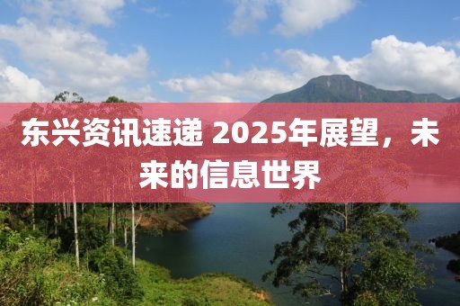 東興資訊速遞 2025年展望,未來的信息世界